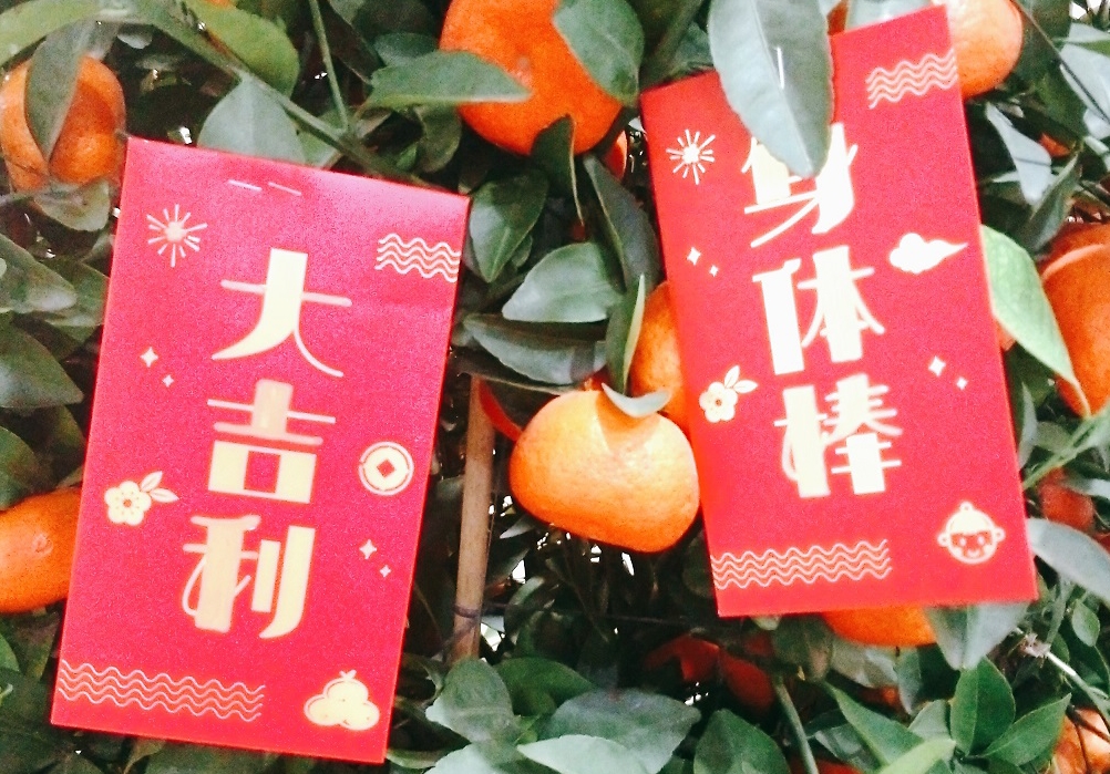 好嗨哦！心意满满的绿茵体育猪送“猪”福